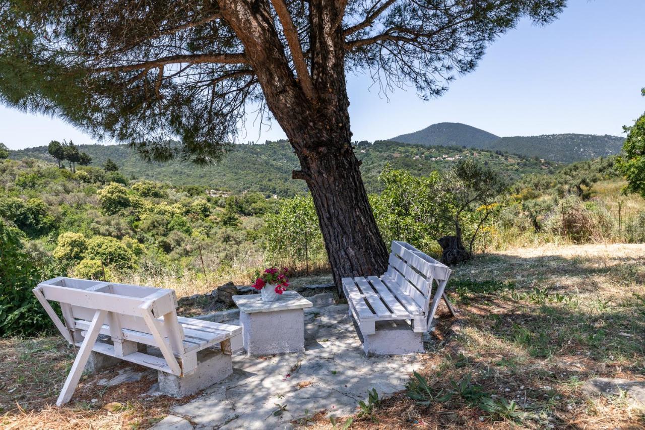 Villa Ambeli Skopelos Exterior foto